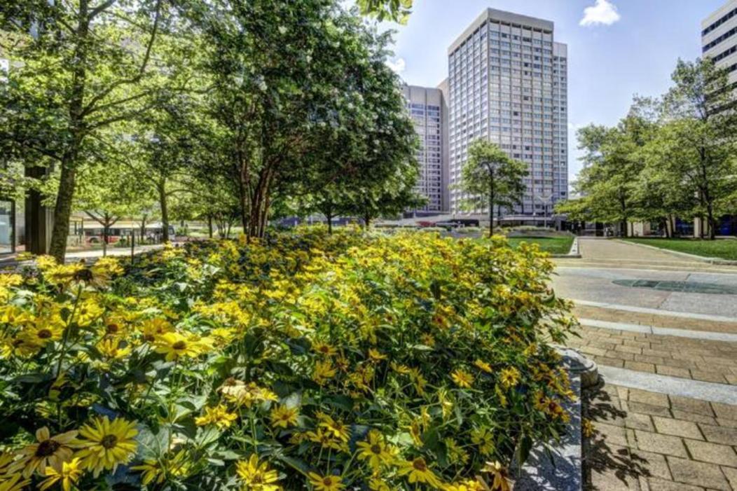 Chase Penthouse: Harbor View with Free Parking Apartment Baltimore Exterior photo